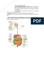 Absorción de Glucosa y Peristaltismo