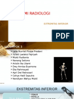 Anatomi Radiologi 2