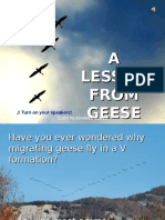 A Lesson From Geese