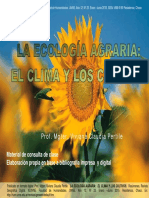 El Clima 