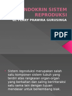 Endokrin Sistem Reproduksi