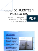 Atlas Puentes y Patologias 1aaa Atlas Bridges and Pathology