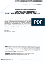 Paradigmas metaforas e quebracabeças em EO MORGAN rae.pdf