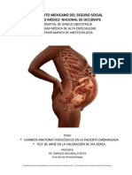 1. cambios anatomofisiologicos, test Arné