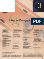 03. Inflamación aguda y crónica.pdf