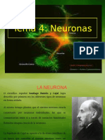 Tema4 Neuronas