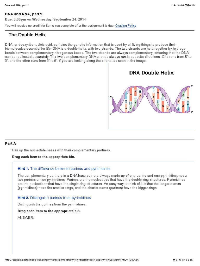 DNA and RNA, Part 2 PDF Base Pair Dna