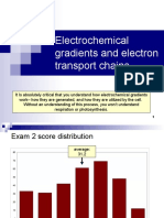 Lecture 21- Electrochemical Gradients and Electron Transport