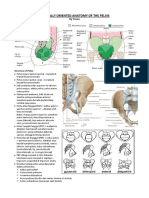 WORD MATERI YOSUA Clinically Oriented Anatomy of The Pelvis 7.5