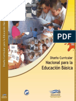 Diseño Curricular Nacional