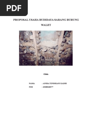 Budidaya Sarang Burung Walet 1