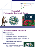Control of Prokaryotic (Bacterial) Genes: AP Biology