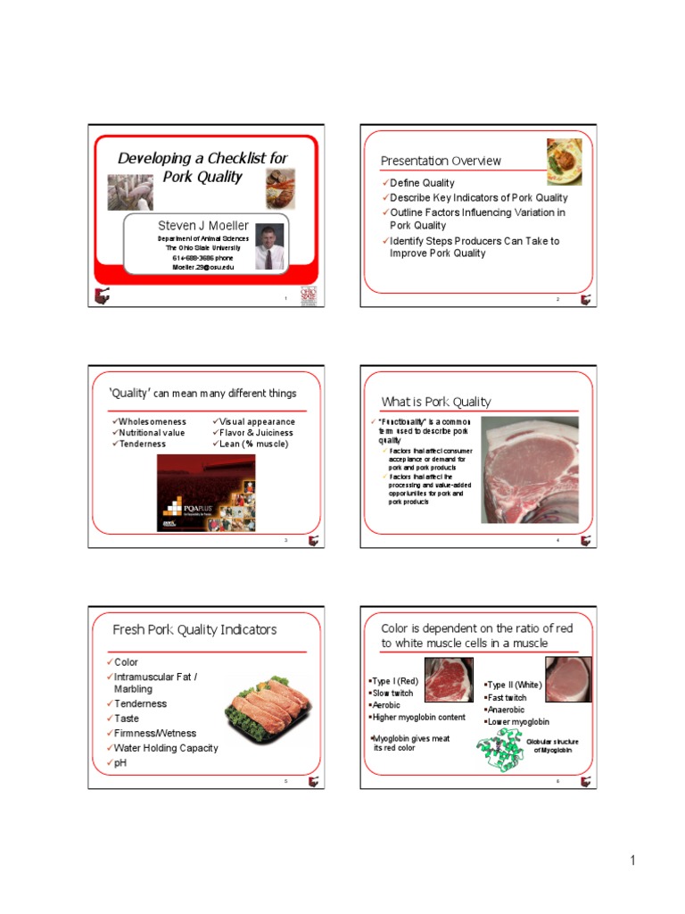 Pork Meat Quality PDF PDF