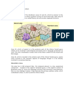 Language Areas of the Brain