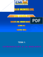 Geologia Tema 1 Introducción