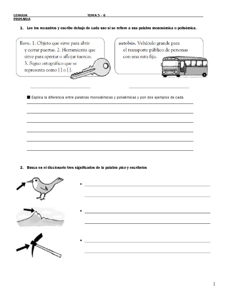 Ejercicios de Lengua 5º Primaria | PDF | Adjetivo | Palabra