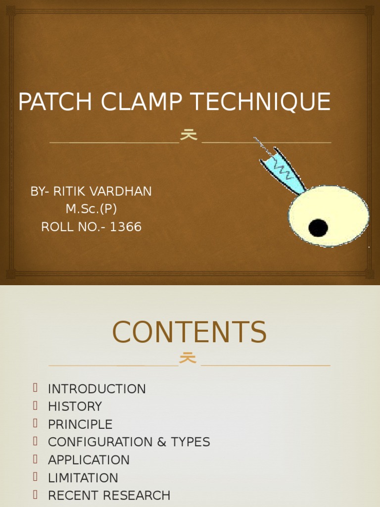 Patch Clamp Technique PDF Ion Channel Electrophysiology