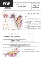 08reprodu o Exerc Cios de Revis o