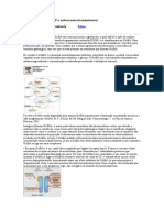 GABA, Histamina, ATP e Outros Neurotransmissores