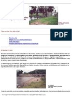 Hidrologia Basica PDF