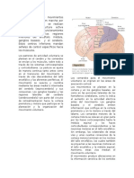 Sistemas de control motor cortical y subcortical