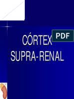 Hormonas Do Córtex Supra-Renal