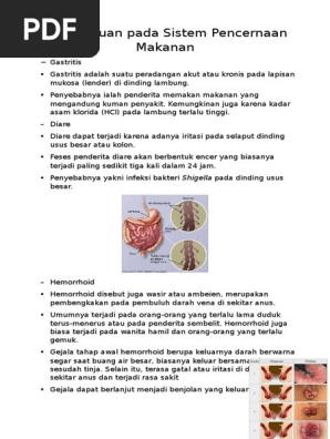 Ms Word Sistem Pencernaan