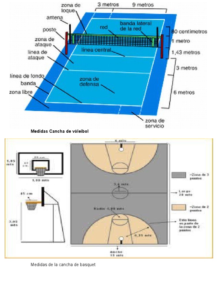 Medidas De La Cancha De Volleyball Volleyball Cancha Profesional Voley ...