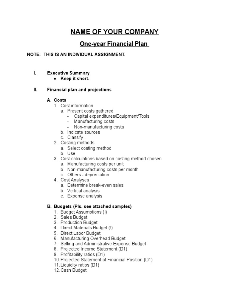 Name of Your Company: One-Year Financial Plan | PDF