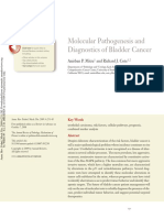 Patogenesis and Etiology of Bladder Cancer