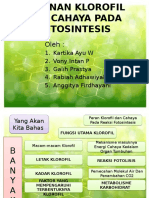 Peranan Klorofil Dan Cahaya Pada Fotosintesis Kel 3