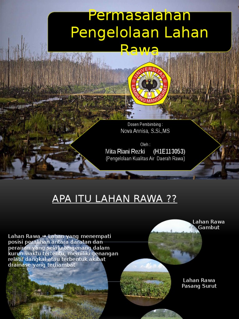 Permasalahan dan Pengelolaan Lahan Rawa | PDF | Sains & Matematika