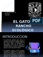 El Gato Rancho Ecologico1234567