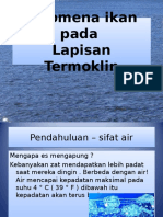 Fenomena Ikan Pada Lapisan Termoklin