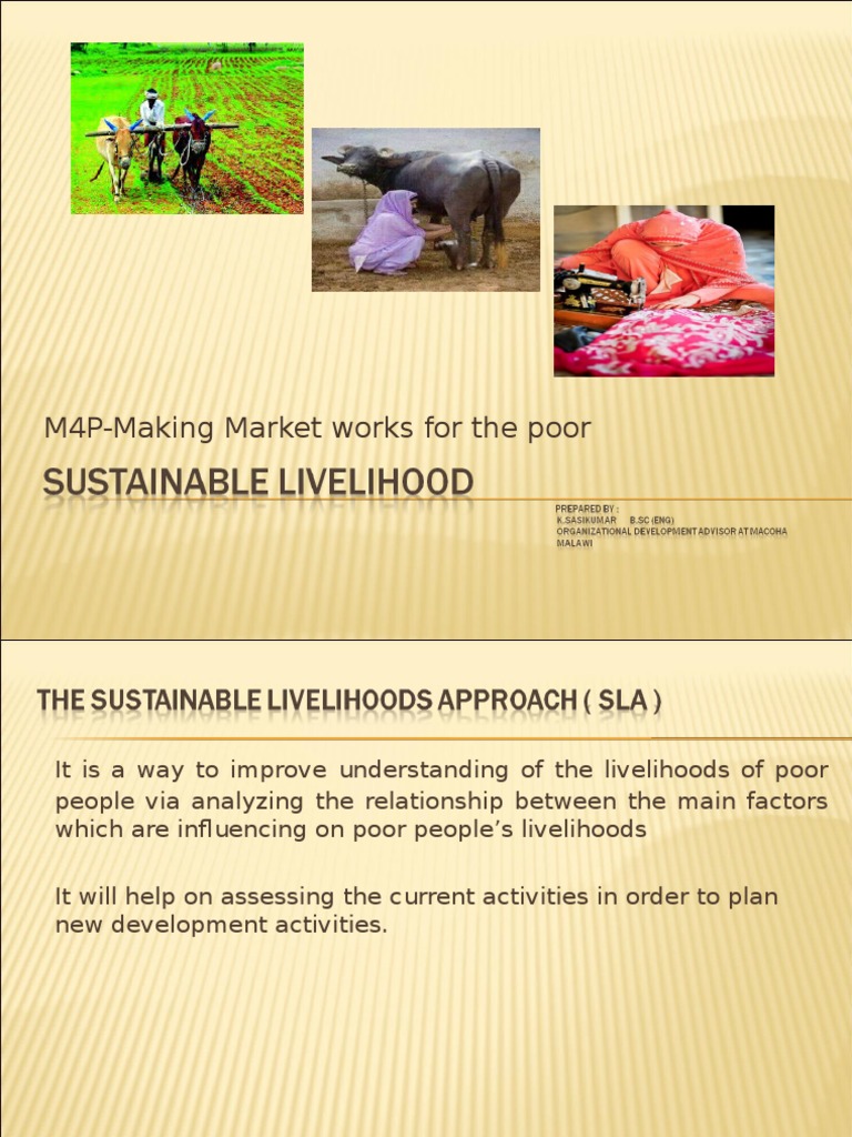 Secure Livelihood-Making Market Works For The Poor (M4P) | PDF | Rural ...
