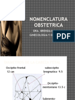 3 Nomenclatura Obstetrica