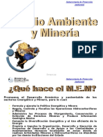 Medio Ambiente y Mineria