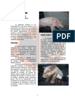 Epidermitis_exudativa.pdf