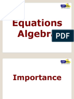 Equations and Polynomials Workshop Handout