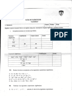 Guia Algebra