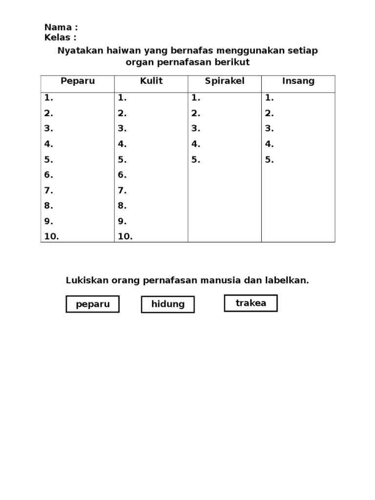 Nyatakan Haiwan Yang Bernafas Menggunakan Setiap Organ Pernafasan Berikut Pdf