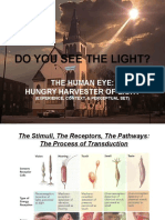 5 Copy of The Human Eye Hungry Harvester of Light