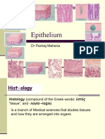 Epithelium