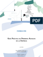 Guía Práctica de Primeros Auxilios en La Empresa - JPR504 PDF