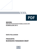MODEL RPP PRAKARYA BUDIDAYA TANAMAN OBAT.pdf