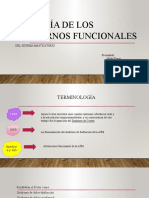 Etiología de Los Trastornos Funcionales Presentacion