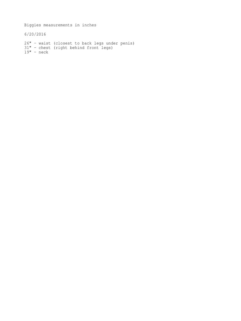 Biggies Measurements | PDF