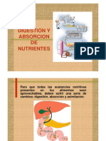 3absorcion y Digestion