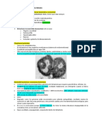 Estructura y fisiología bacteriana