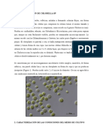 Caracterizacion de CHLORELLA SP